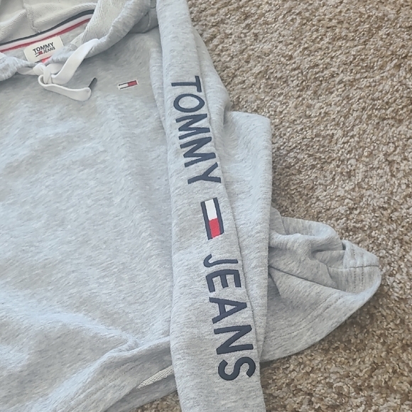 Tommy Hilfiger Light Gray Hoodie - Picture 1 of 5